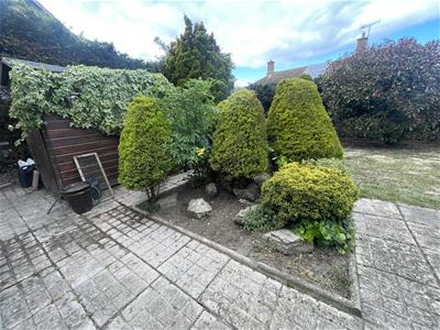 Picture 16